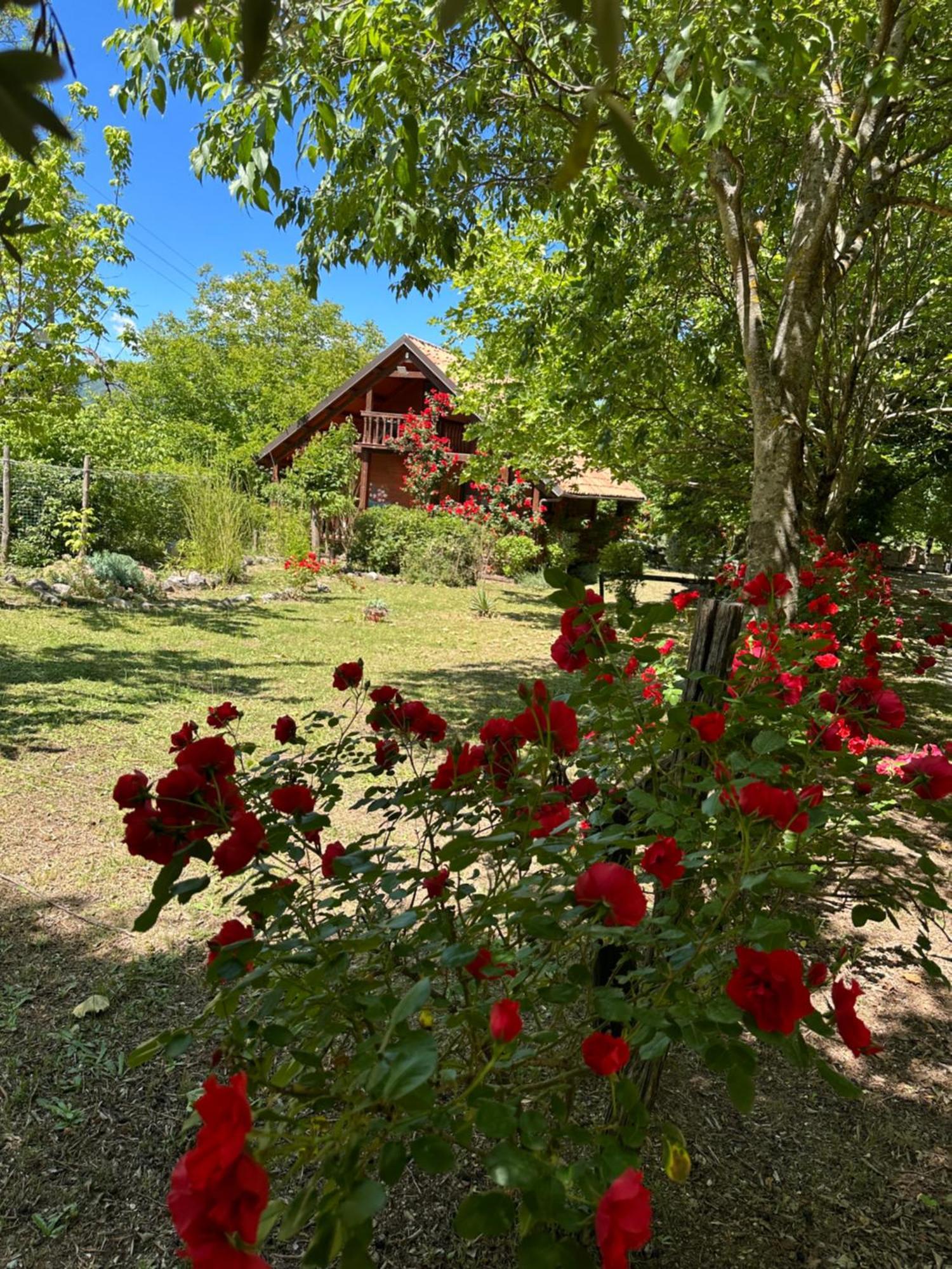 Ciclopark Morano Calabro Villa ภายนอก รูปภาพ