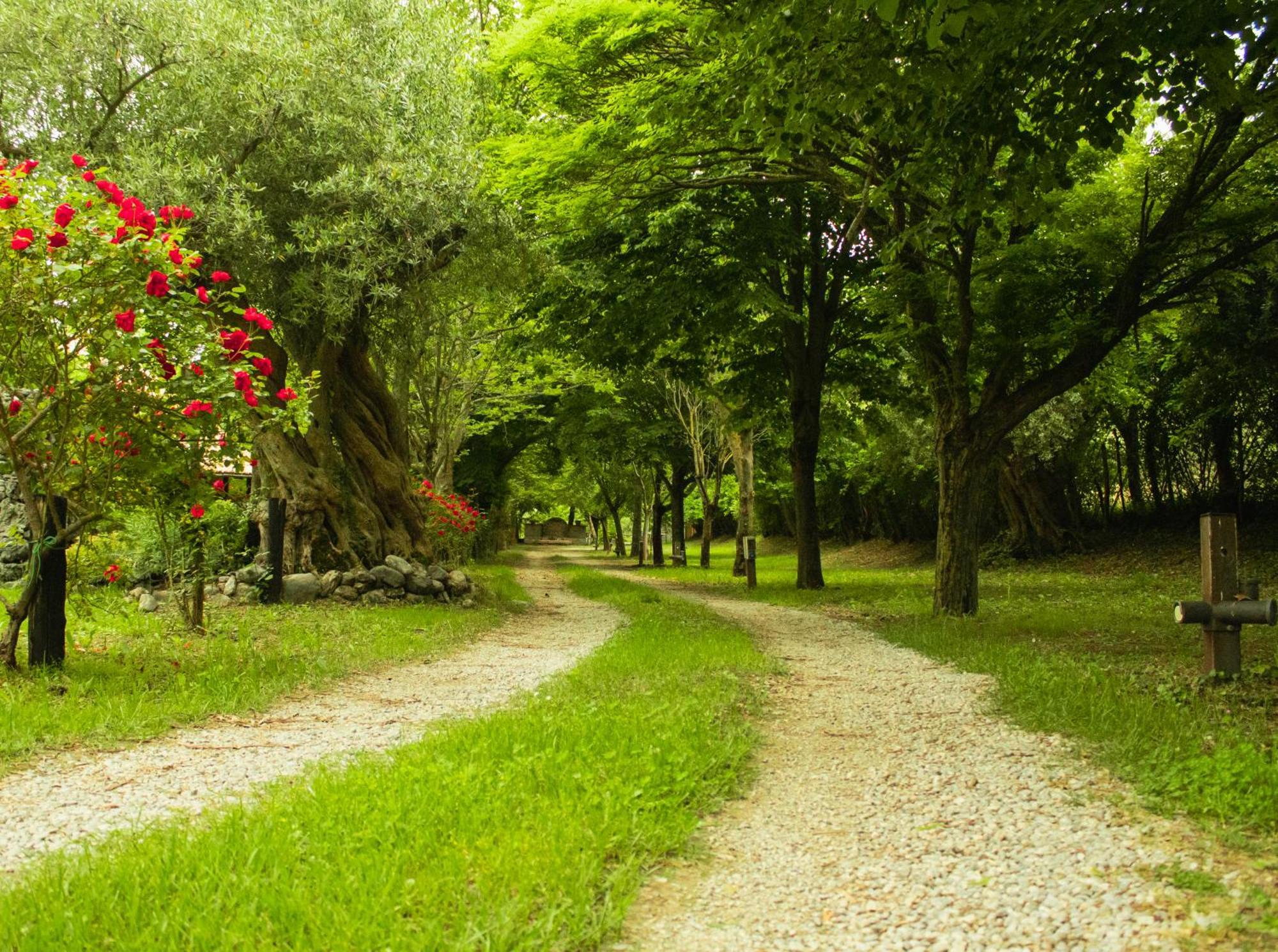 Ciclopark Morano Calabro Villa ภายนอก รูปภาพ